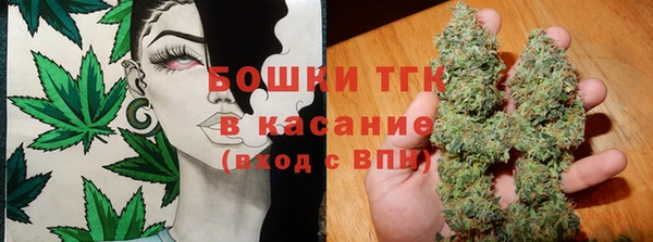 сатива Алексеевка